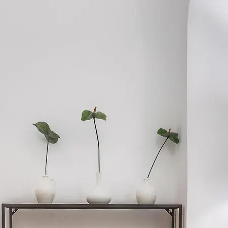 Palais Gentile Pensión